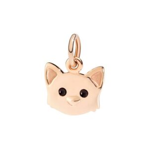 Gatto