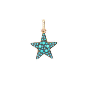 Pendente stella grande